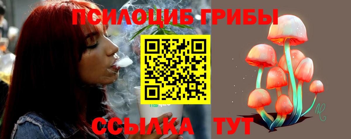 Каменск-Уральский  Галлюциногенные грибы Magic Shrooms  Вход с VPN  Галлюциногенные грибы MAGIC MUSHROOMS 
